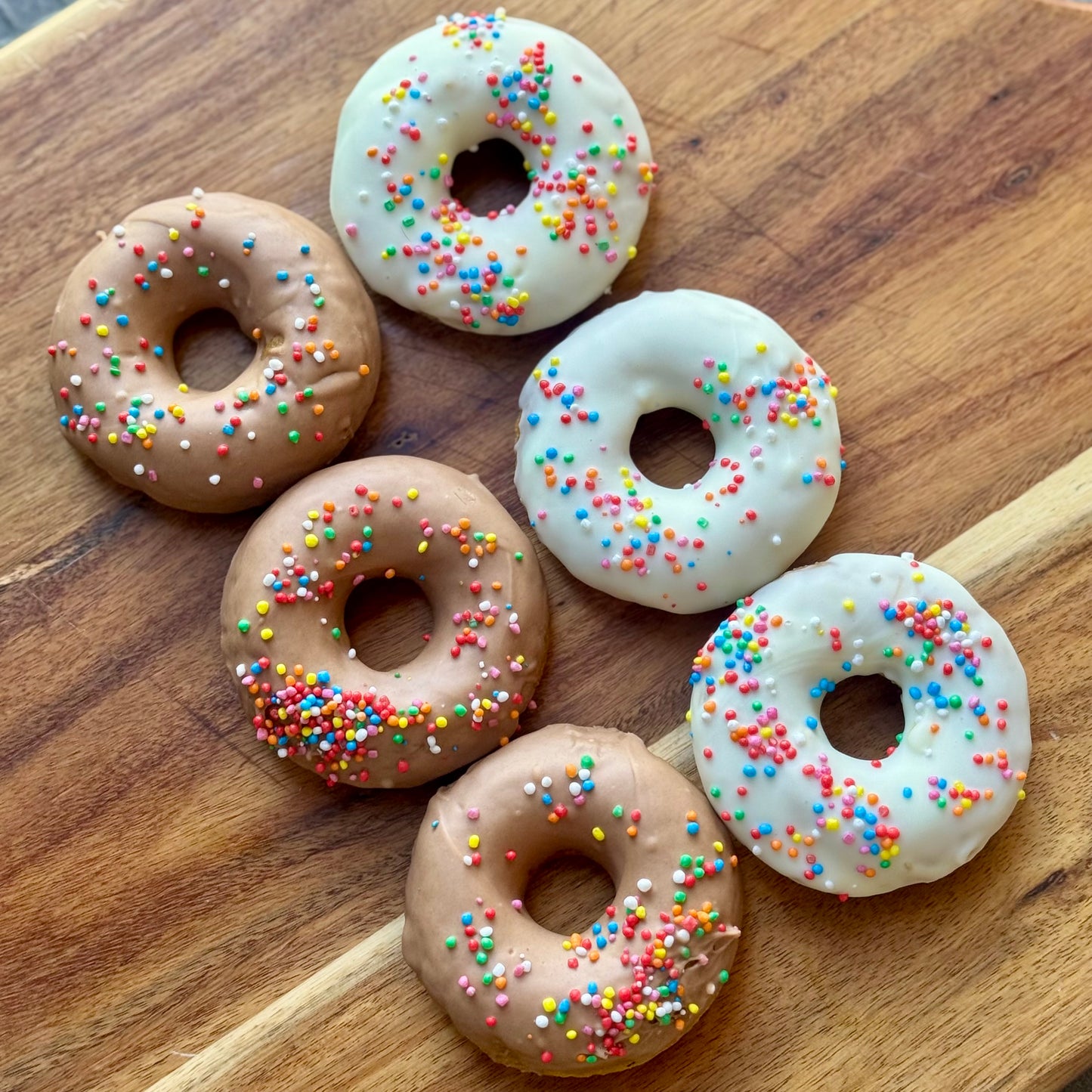 Doggie Donuts