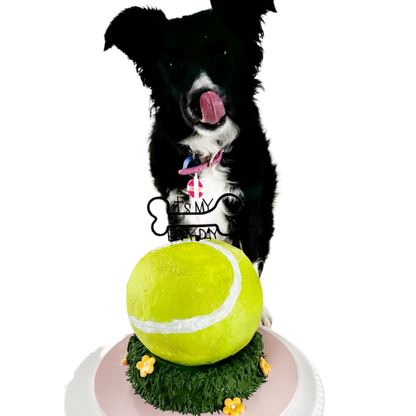 Ball Crazed Dog Cake