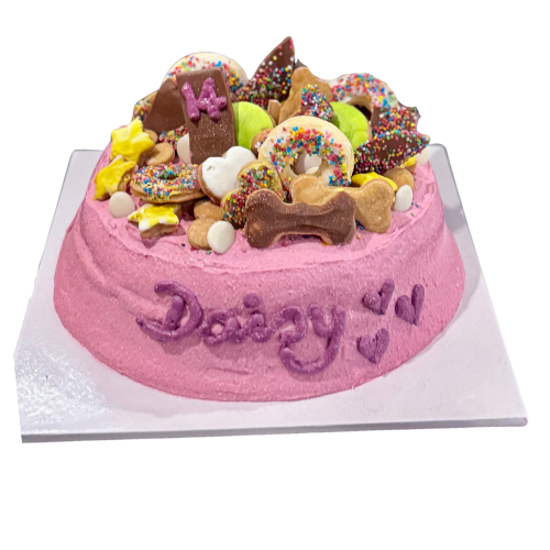 Dog Bowl Cake